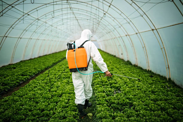 Best Pest Control Near Me  in Coushatta, LA