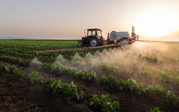 Best Pest Control Cost  in Coushatta, LA