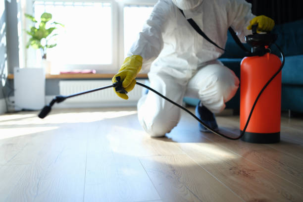 Best Wasp Removal Services  in Coushatta, LA