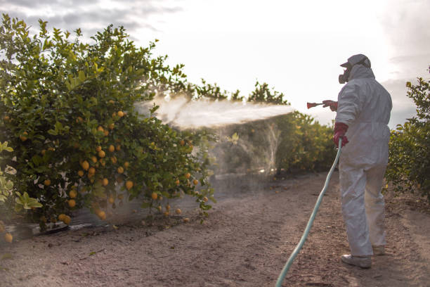 Pest Prevention Services in Coushatta, LA