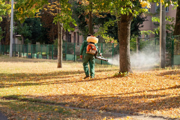 Best Pest Prevention Services  in Coushatta, LA