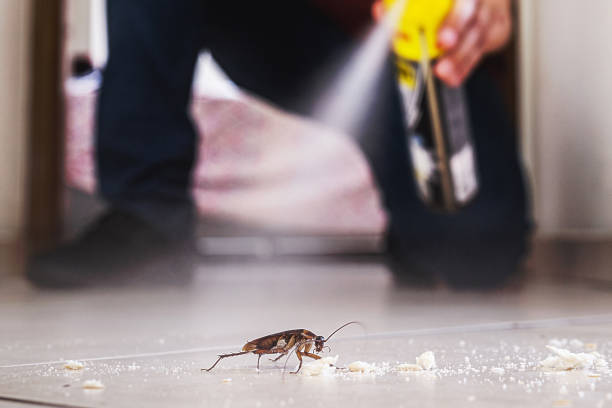 Best Local Pest Control Services  in Coushatta, LA
