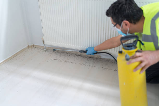 Best Pest Control Near Me  in Coushatta, LA
