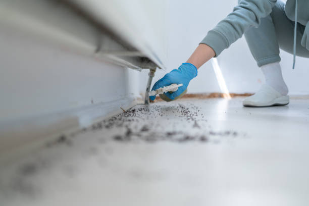 Best Best Pest Control Companies  in Coushatta, LA