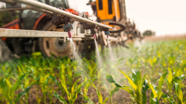 Professional Pest Control in Coushatta, LA