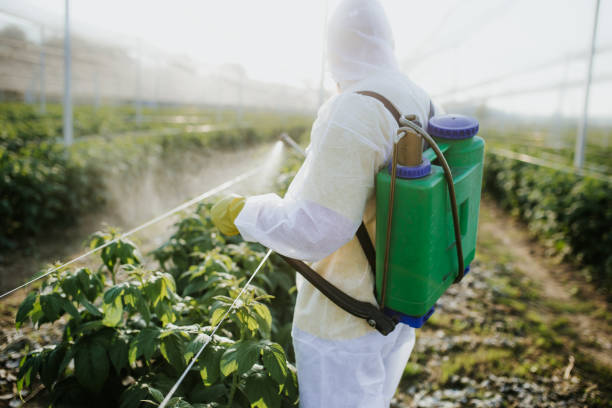 Best Mosquito Control Services  in Coushatta, LA